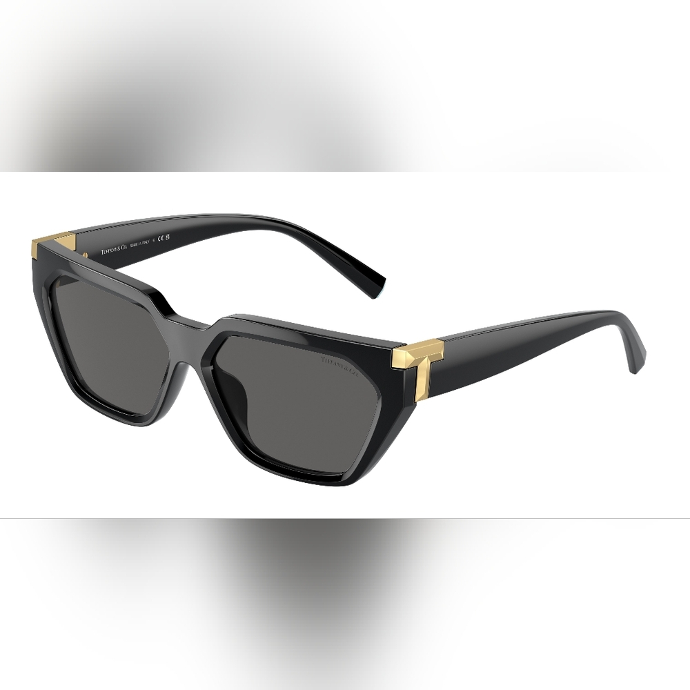🔥HOST PICK 🔥 NWT Tiffany & Co Sunglasses